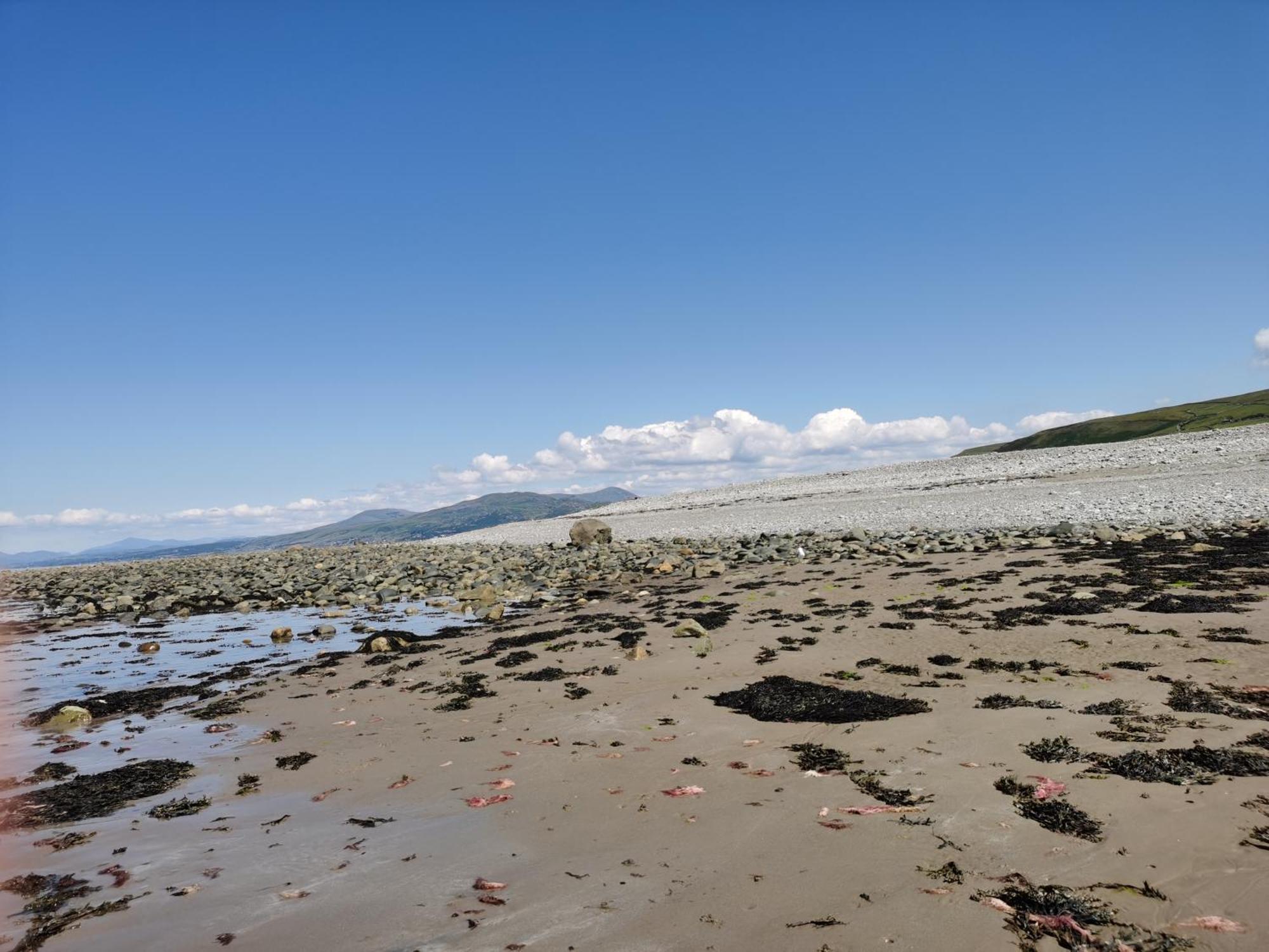 Snowdonia Sea And Mountains View Chalet *